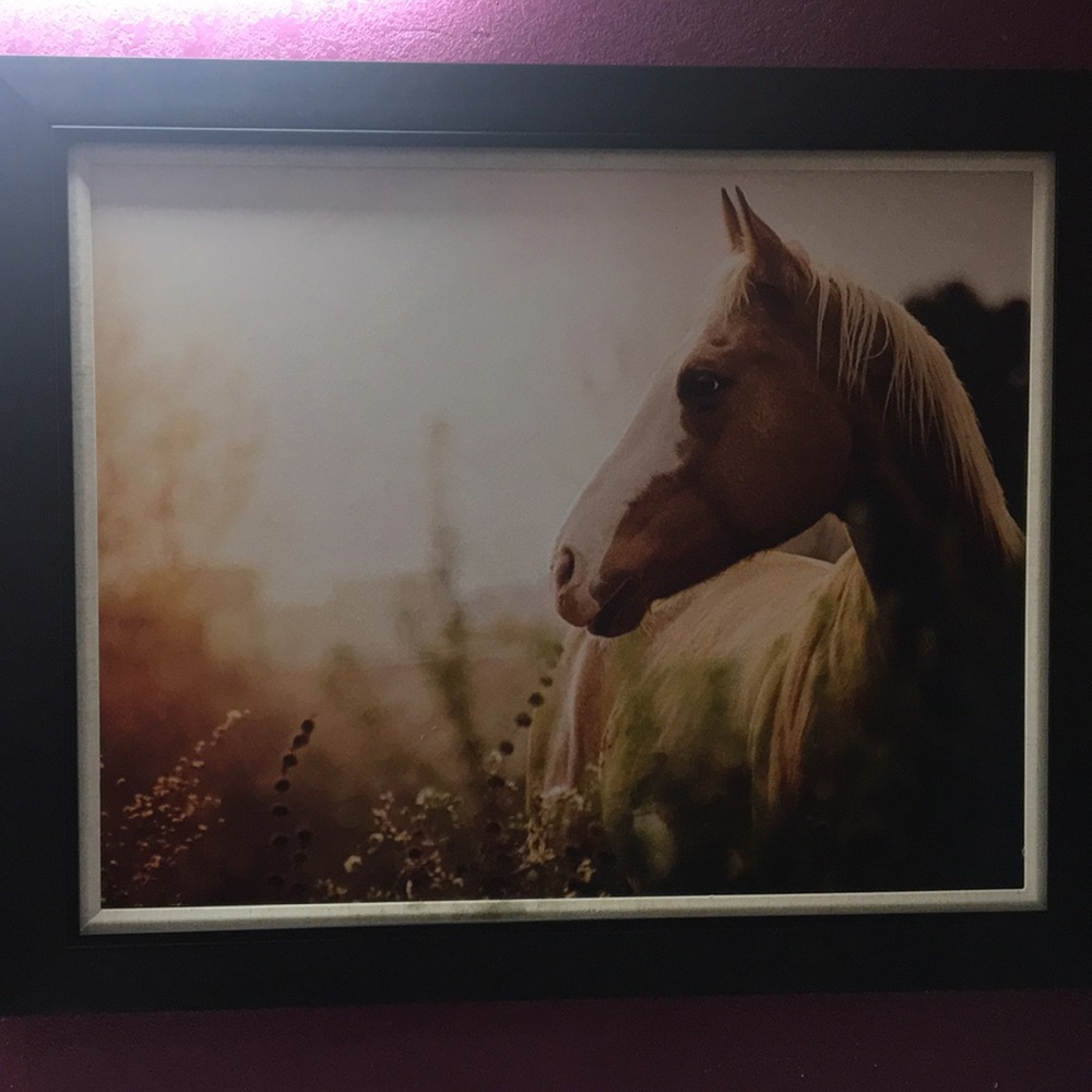 Horse frame